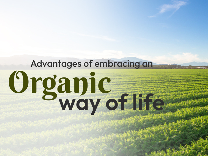 Why opt for organic? Advantages of embracing an organic way of life