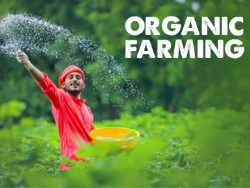 Top reasons to start supporting organic farming and organic products today