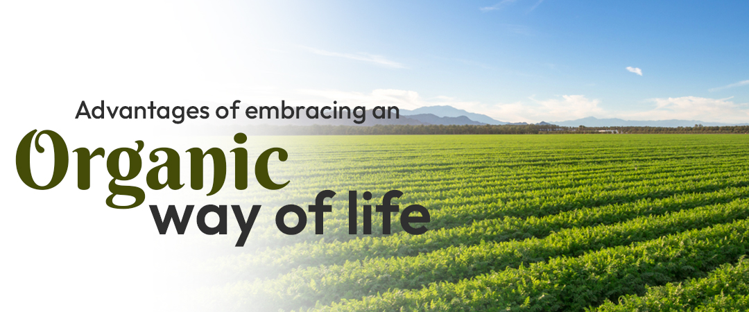 Why opt for organic? Advantages of embracing an organic way of life