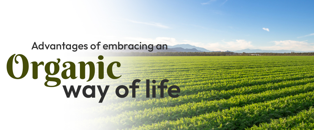 Why opt for organic? Advantages of embracing an organic way of life Why opt for organic? Advantages of embracing an organic way of life