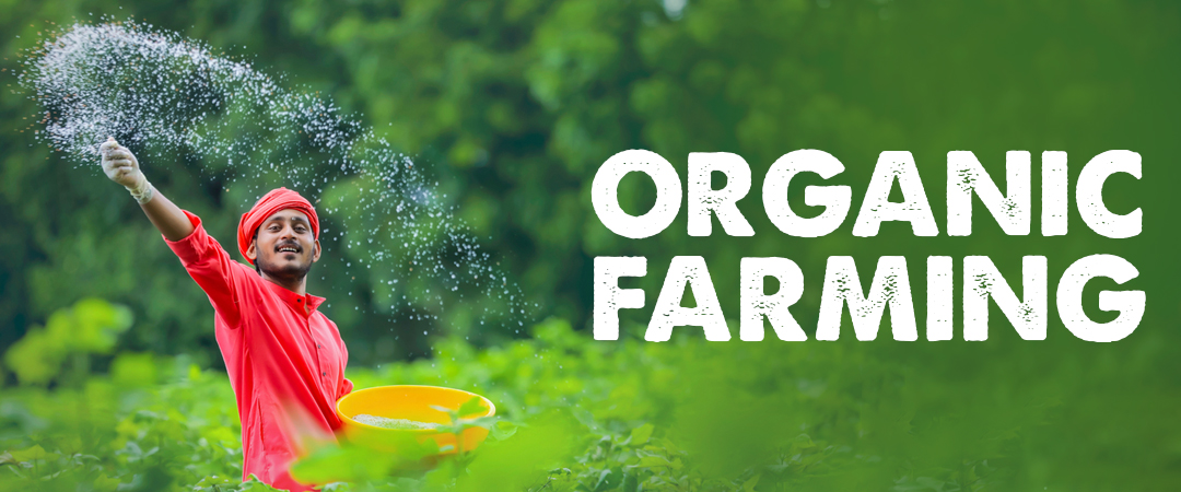 Top reasons to start supporting organic farming and organic products today