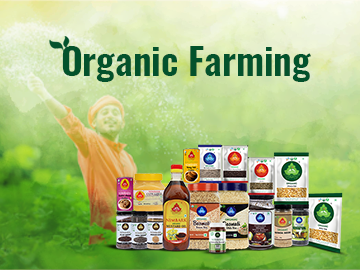 The Mistakes to avoid while picking up stores offering organic farming produce